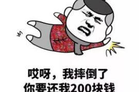 甘谷甘谷的要账公司在催收过程中的策略和技巧有哪些？